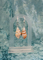 Cinerea Shell Earrings