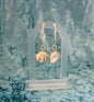 Arca Shell Earrings