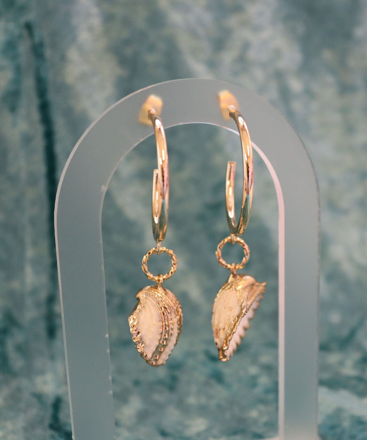 Arca Shell Earrings
