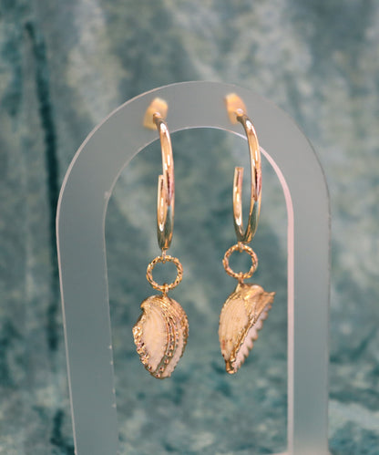 Arca Shell Earrings