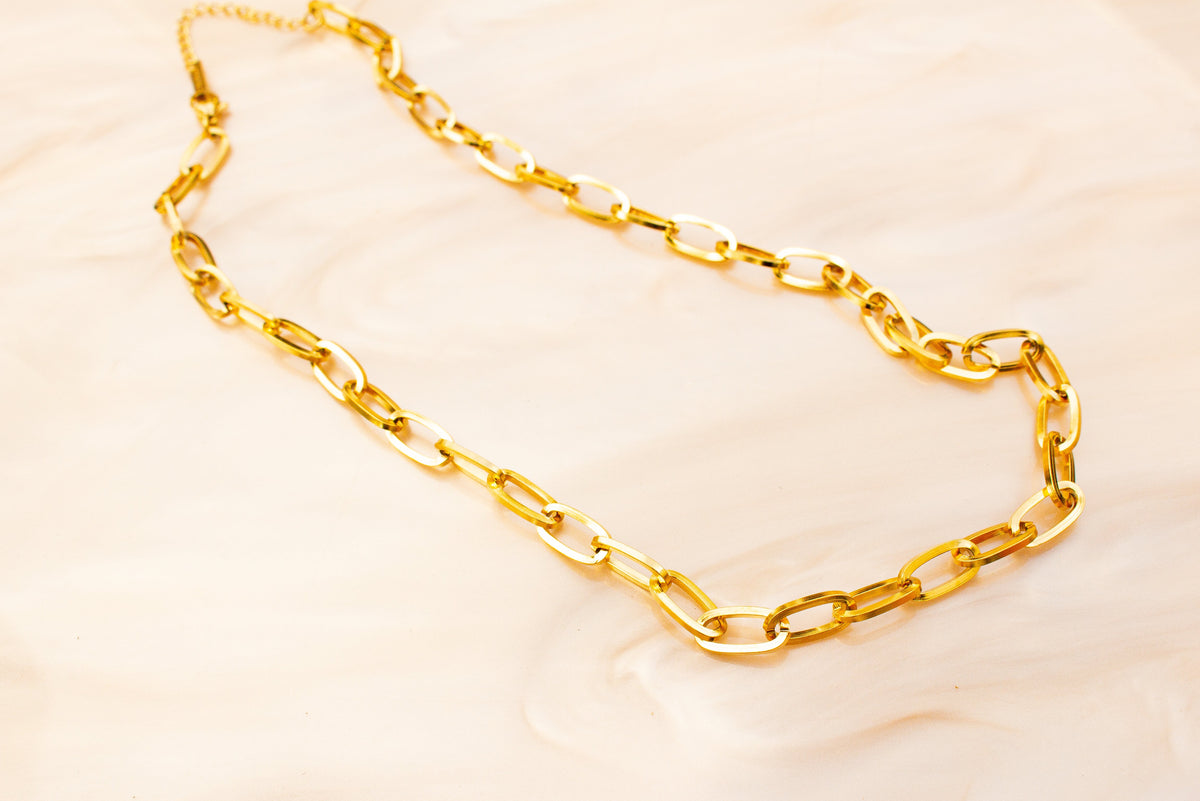 Chain Link Titanium Necklace