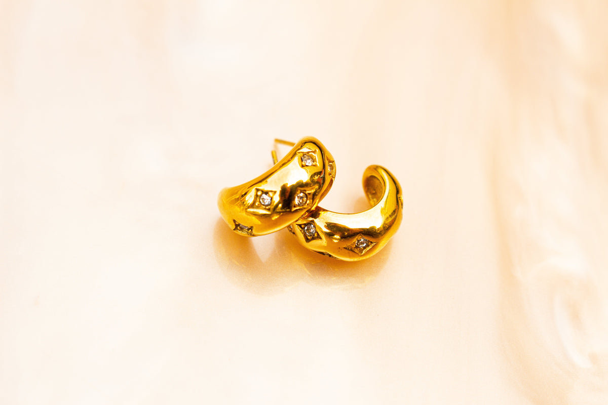 Sparkly Titanium Hoop Earrings