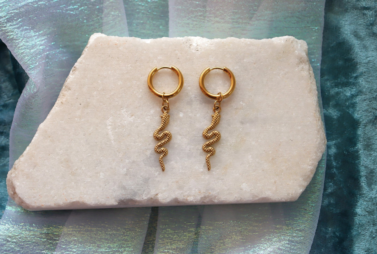 “Filled my Cell With Snakes” Titanium Charm Earrings