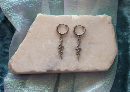 “Filled my Cell With Snakes” Titanium Charm Earrings