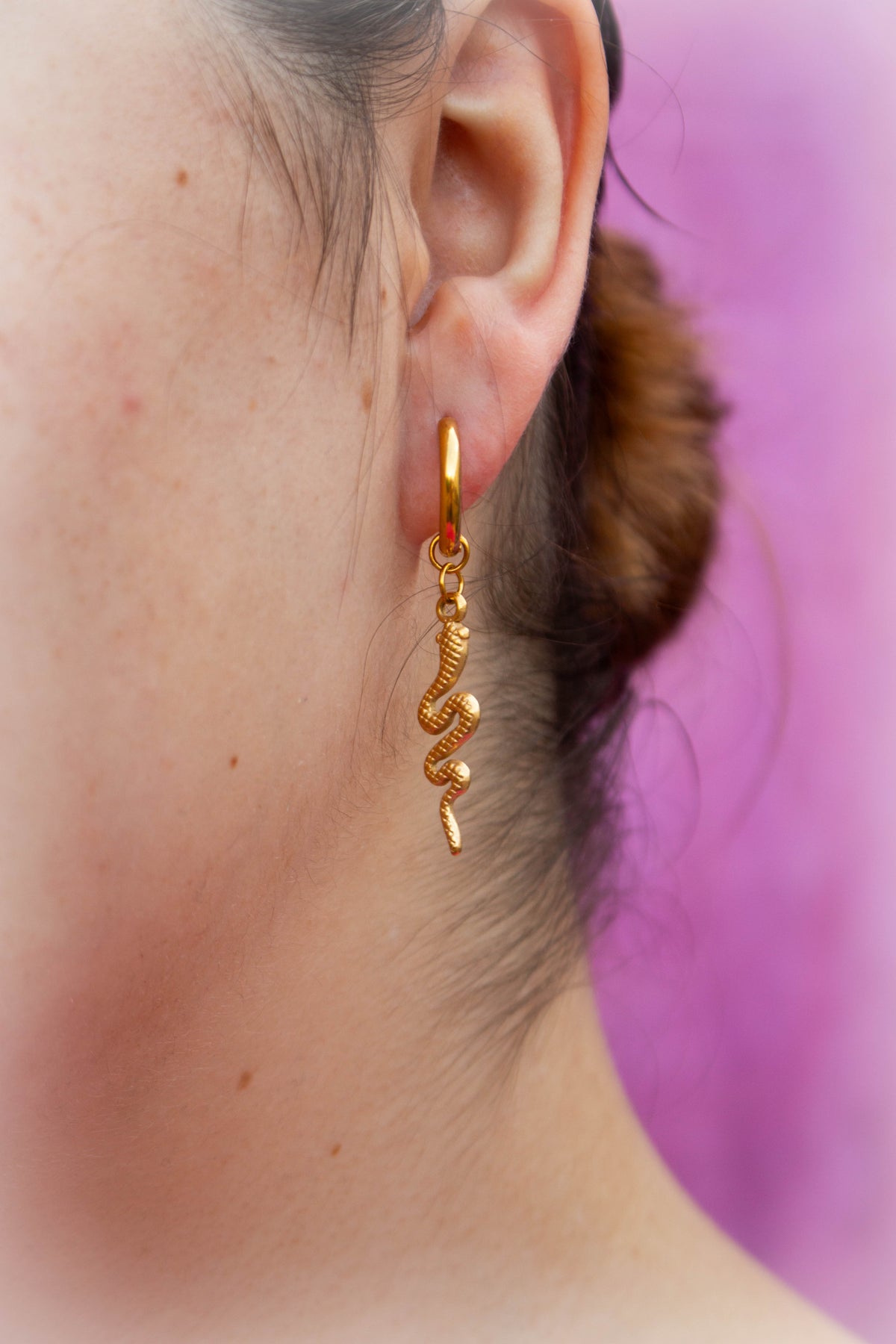 “Filled my Cell With Snakes” Titanium Charm Earrings