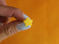 Zebra Stars - Tiny Stud Earrings