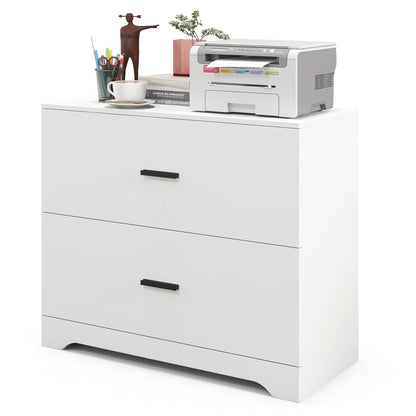 2-Drawer Lateral File Cabinet with Adjustable Bars for Home and Office