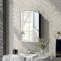 20 x30 Inch Multi-Functional Bathroom Mirror Cabinet with Adjustable Shelves-Black