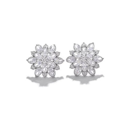 S925 Ice Flower 5A Zircon Stud Earrings, Sterling Silver Jewelry for Women