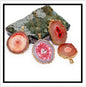 Original Crystal Sunflower Natural Stone Agate Pendants