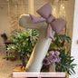 2 Pcs 32 Inch Cream Digital Balloon Set with Pink Bow | Aluminum Foil Party Decor