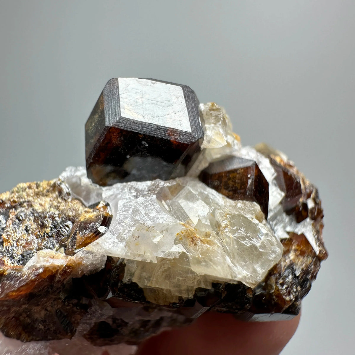 Natural Dark Brown Andradite Garnet Cluster Raw Crystal Mineral Specimen Calcite Matrix Healing Stone Home Decoration