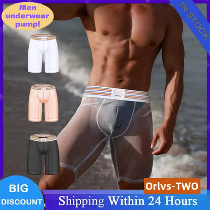 1/2/3PCS Men's Ice Silk Boxers Transparent Boxers 0.01 Ultra-thin Fabric See Through Underpants Seamless Underwear Boxer Shorts