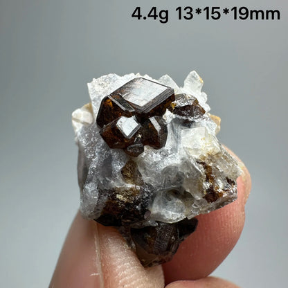 Natural Dark Brown Andradite Garnet Cluster Raw Crystal Mineral Specimen Calcite Matrix Healing Stone Home Decoration