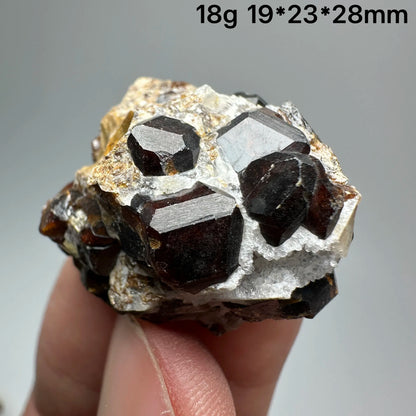 Natural Dark Brown Andradite Garnet Cluster Raw Crystal Mineral Specimen Calcite Matrix Healing Stone Home Decoration