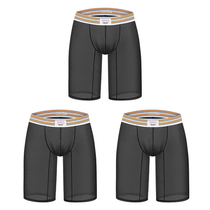 1/2/3PCS Men's Ice Silk Boxers Transparent Boxers 0.01 Ultra-thin Fabric See Through Underpants Seamless Underwear Boxer Shorts