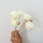 10PCS Artificial Flower Rattled Reed Fragrance Diffuser Sticks | Home Aroma Refills