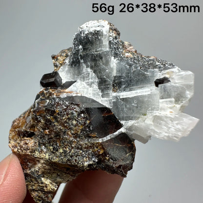 Natural Dark Brown Andradite Garnet Cluster Raw Crystal Mineral Specimen Calcite Matrix Healing Stone Home Decoration