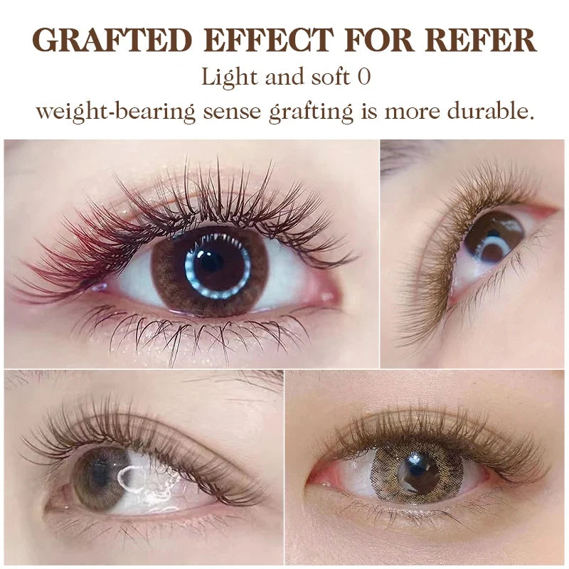 NATUHANA Caramel Colored Lashes | Individual Faux Mink Eyelashes