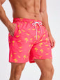 Men's Board Shorts Swim Shorts Swim Trunks Drawstring Elastic Quick Dry Short Beach Hawaiian Casual Black White Micro-elastic