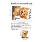 Cute Cat Wall Stickers | Peel and Stick Kitten Decals for Home Decor