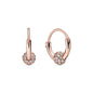 European New 925 Silver Butterfly Flower Stud Earrings, Fit Women's Festival Exquisite Charm Jewelry Gifts