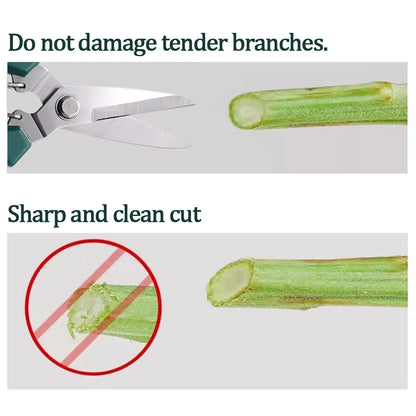 190mm Straight Head Pruning Shears | Stainless Steel Garden Scissors for Bonsai