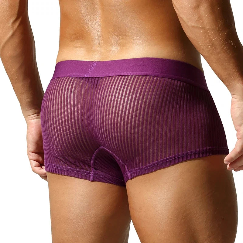 SEOBEAN New Men's translucent Boxer Brief Underwear Comfortable polyester Boxer Shorts for Men