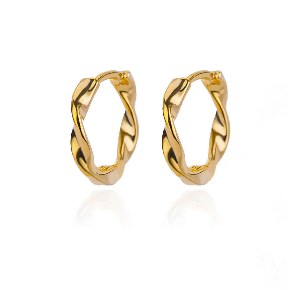 Vintage Round Stainless Steel Hoop Earrings For Women Gold Plated Earring 2023 Trending Statement Ear Jewelry Christmas Gift