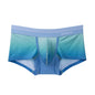 SEOBEAN Underwear New Arrivals Mens Boxers Briefs Gradient Color Underpants Boxershorts Sexy Low-waist Male Panties Boxer