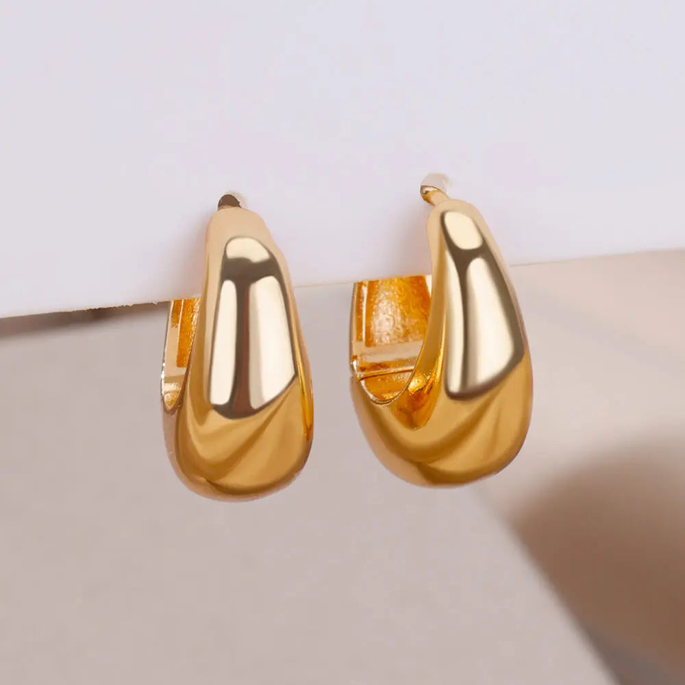 Chunky Drop Hoop Earrings for Women Stainless Steel Gold Color Piercing Earring 2024 Trend New In Trend Jewelry aretes mujer