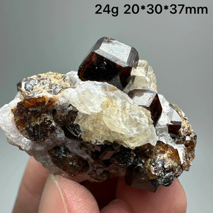 Natural Dark Brown Andradite Garnet Cluster Raw Crystal Mineral Specimen Calcite Matrix Healing Stone Home Decoration