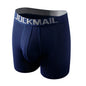 Sexy Men Underwear Men's Boxer 3D Hammock-shaped Pouch Designed Breathable Mesh Panels Men Boxershorts Trunk Male Underpants