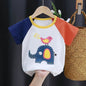 Kids Cotton Graphic Tee | Summer Unisex T-Shirt for Babies and Toddlers