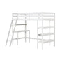 Twin Size Loft Bed with Desk and Bookshelves for Kids and Teens
