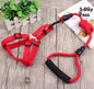 dog chain, dog collar, pet harness rope