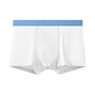 Mens Breathable Summer Thin Boxer Briefs Seamless Boxer Style