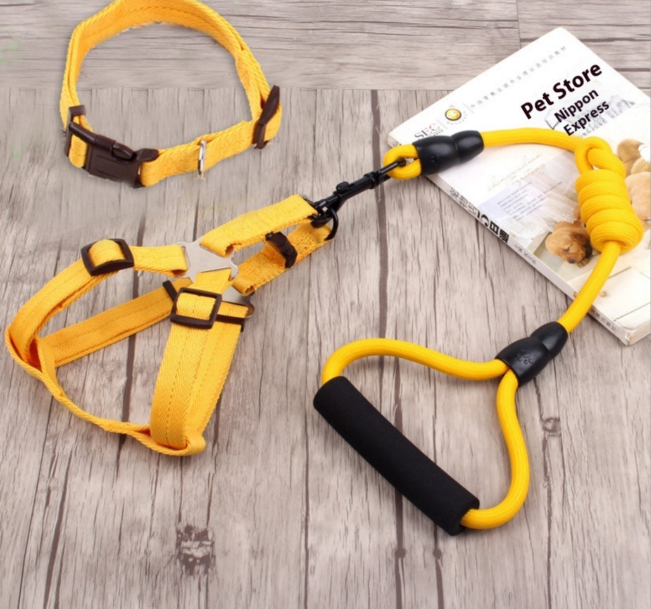 dog chain, dog collar, pet harness rope