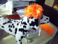 Fashion Pet Clothing Accessories Dog Head Ornament
