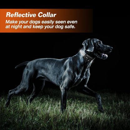Electric Dog Collar Receiver Anti-Bark Dog Deterrent Training Collar with Beep Vibration Shock Modes for Dog Fence System