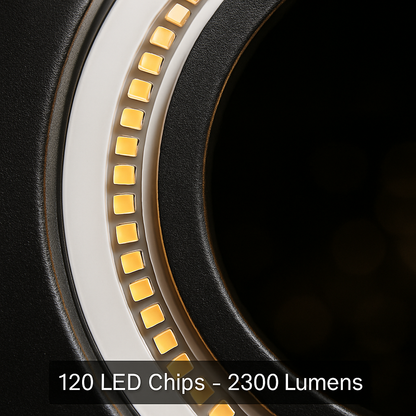 LED Ring Light with Tripod Stand for Photos