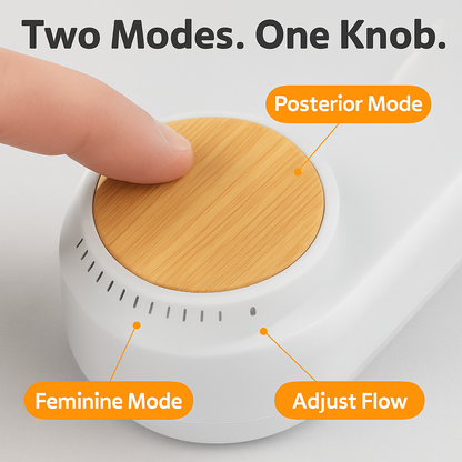 Bidet Attachment with Dual Nozzles and Water Flow Control