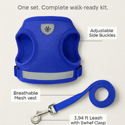 Pet Mesh Harness and Leash Set with Reflective Chest Strap