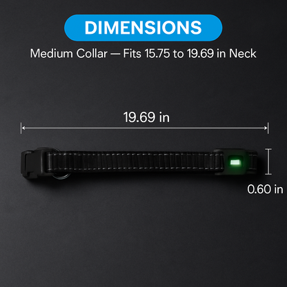 Light Up Dog Collar with LED Night Safety Colors
