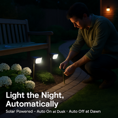 Solar Landscape Spotlight for Outdoor Spaces