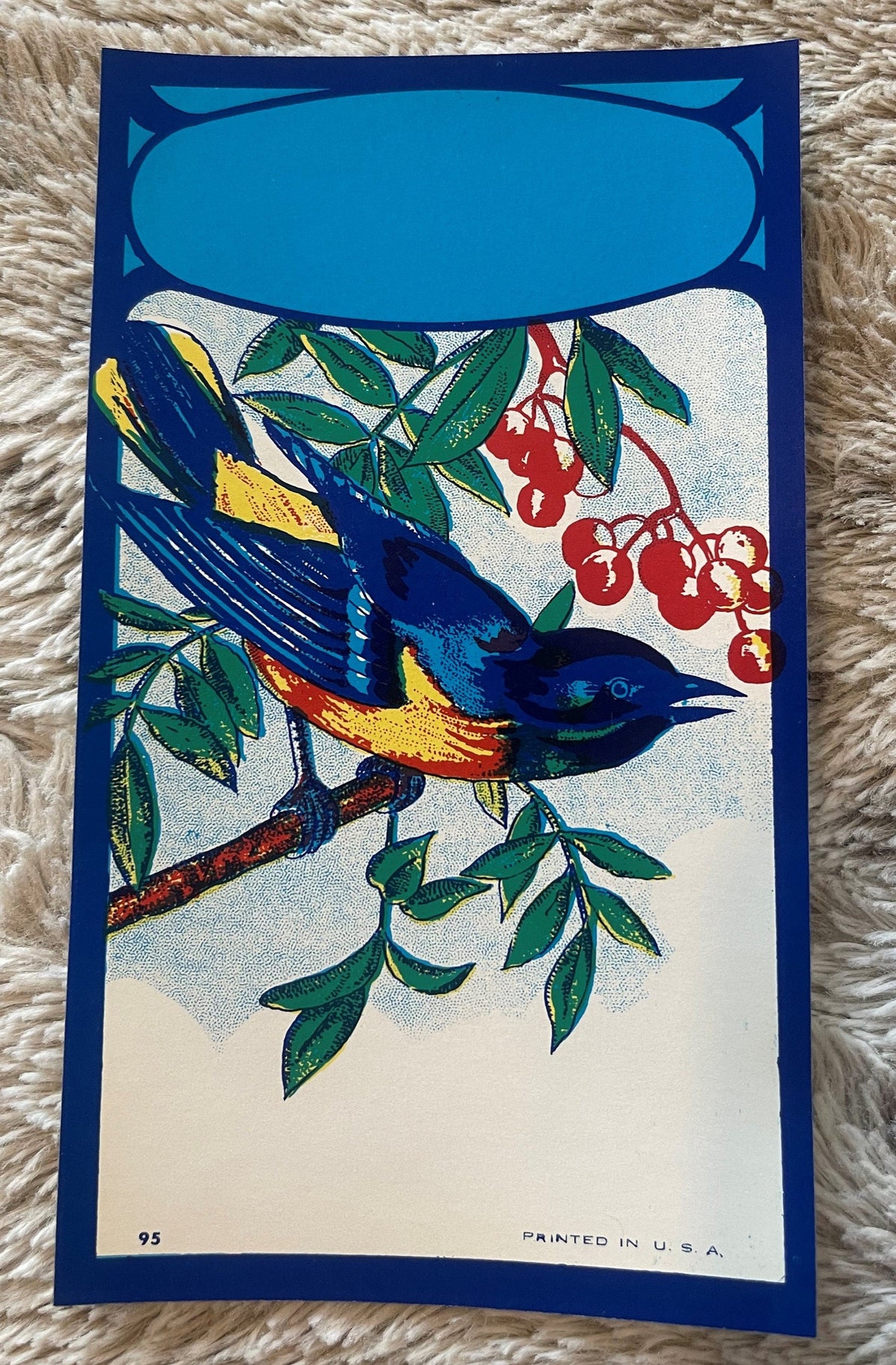 Antique Bluebird Broom Label 🐦 NOS Blank Panel Commercial Lithography Art Nouveau 1910s–40s