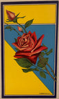 Antique Rose Broom Label 🌹 NOS Chromolithograph | 1910s–40s Yellow & Blue Litho Print Art