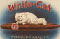Antique White-Cat 🐱 Cigar Box Label 1920s Embossed Gold Chromolithograph Vintage Tobacco Art