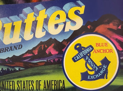 Vintage Sutter-Buttes Crate Label 🏔️ California Fruit Exchange Yuba City Blue Anchor Lithograph