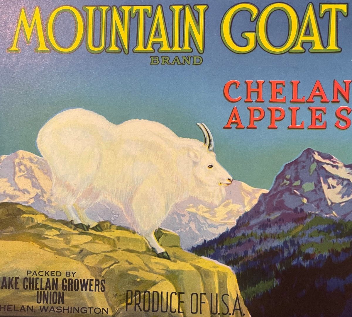 Antique 1930s Mountain Goat Apple Crate Label 🐐 — Lake Chelan Growers Union, Chelan WA — Goat & Cascades Art